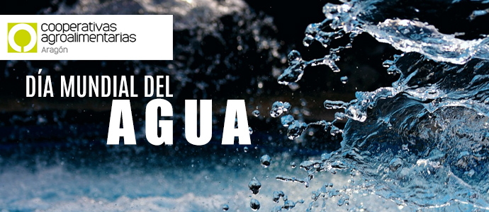 Cooperativas Agroalimentarias de Aragón tweet media