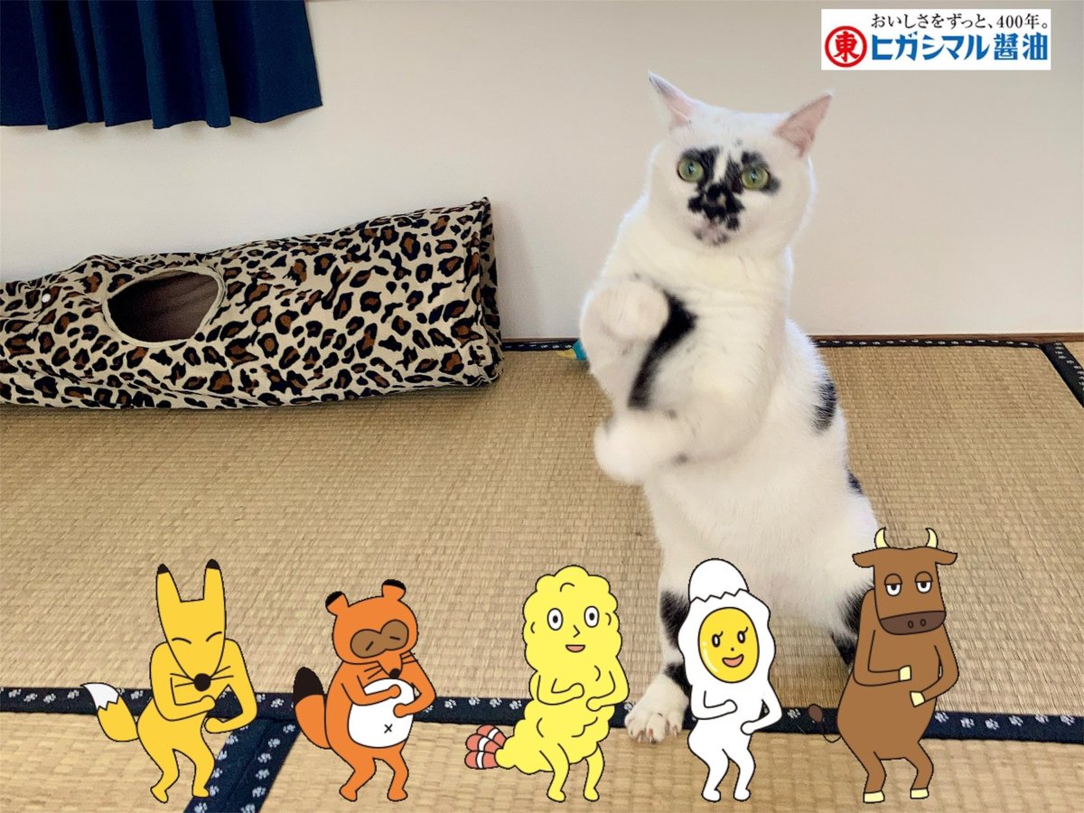 やるしかないと思った