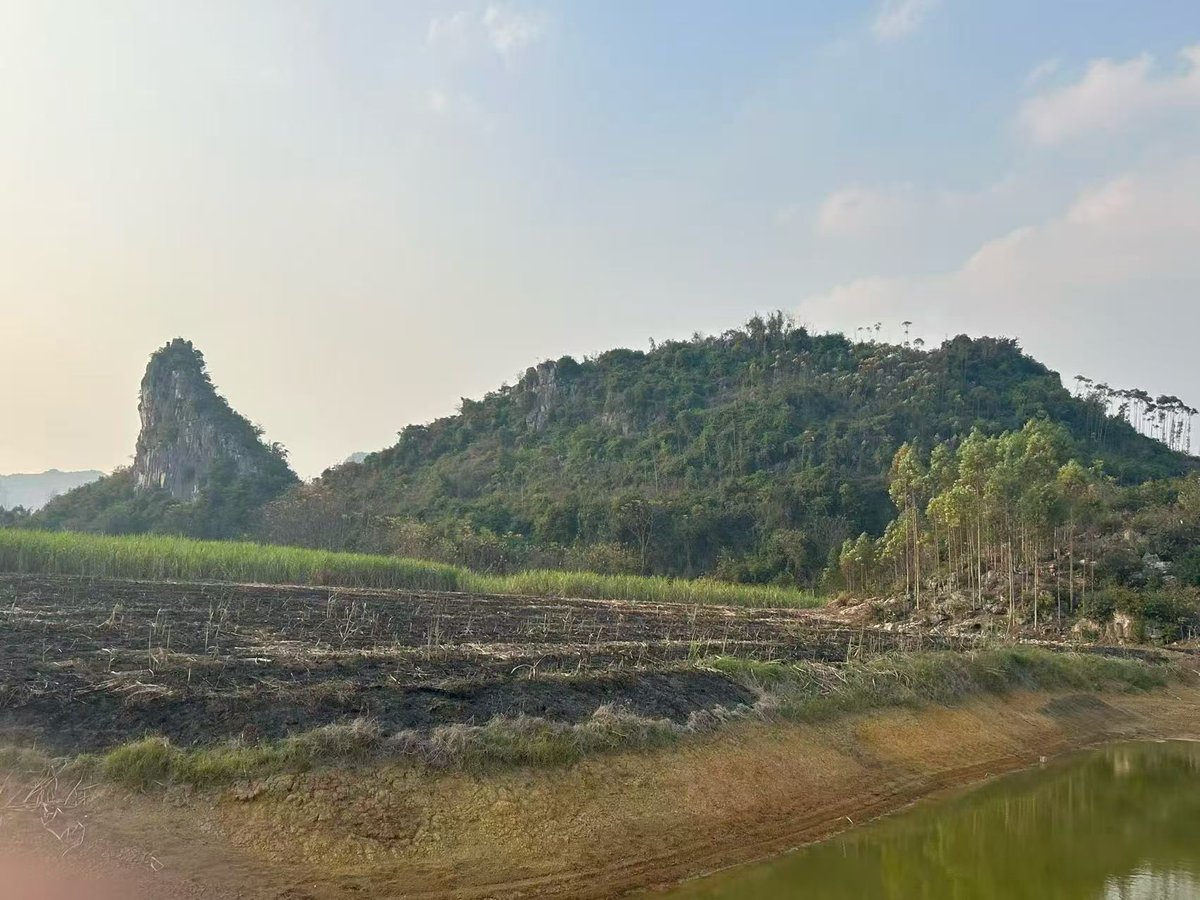 风水的核心在于形峦和理气，这座形如大理鱼的山和形如莲花台的山是非常有情的，但是要找到真正的穴葬下去对后代是绝对的好处。