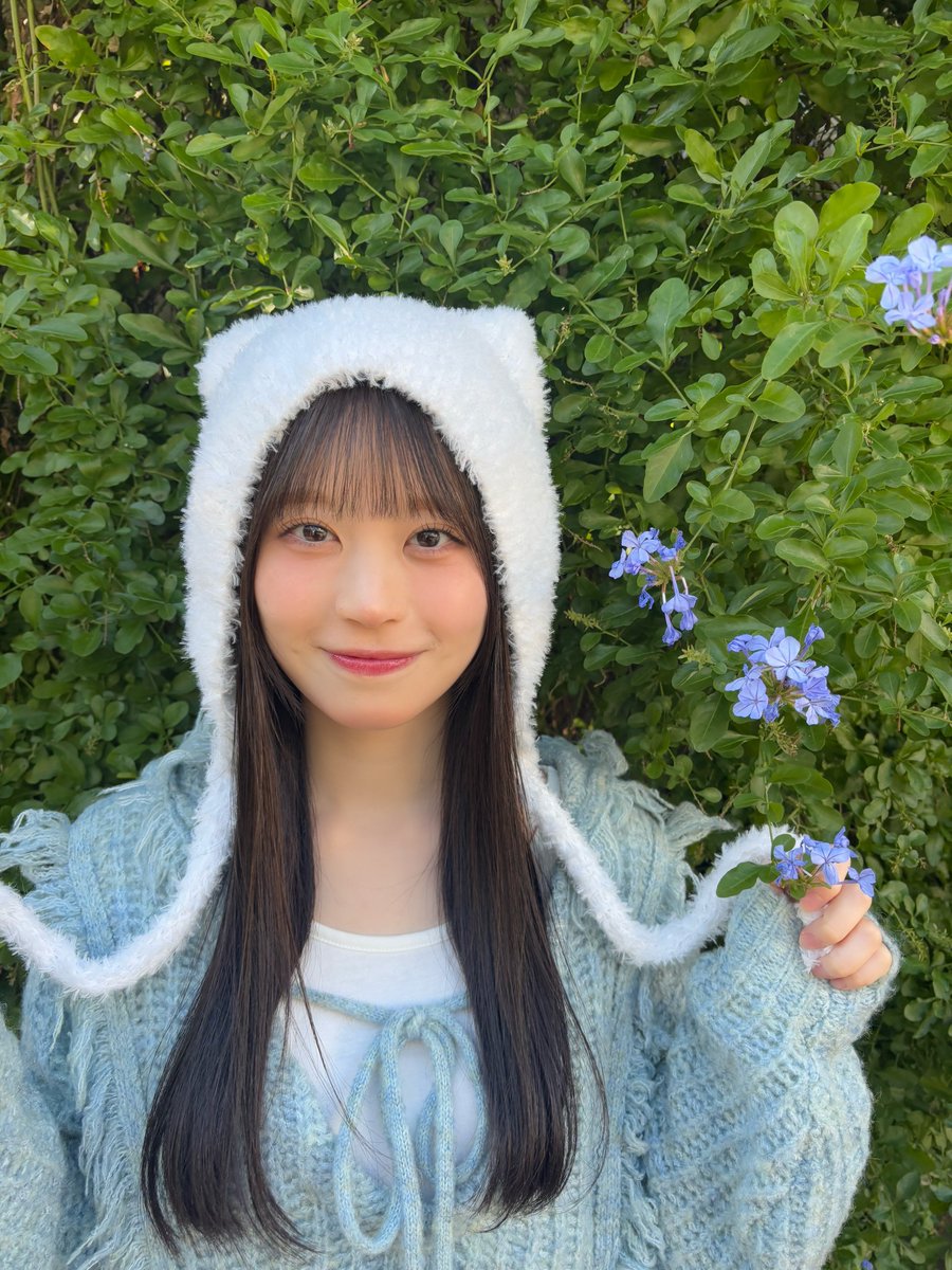 ⭐︎青空⭐︎ Post by エビ on X: 🤍