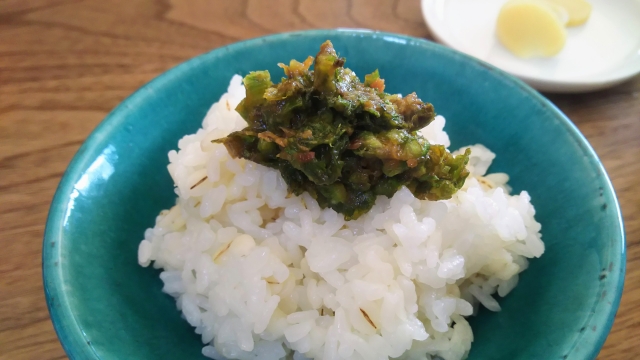 本日2月10日は｢ふ(2)きのとう(10)｣の語呂合わせから｢#ふきのとうの日