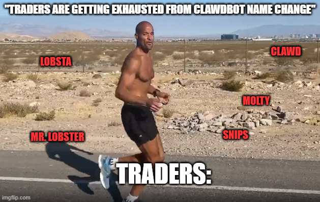 solgoodman tweet media