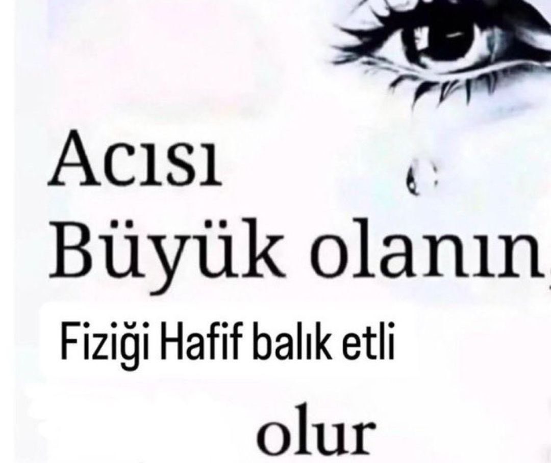 loli (@kediloli) on Twitter photo 