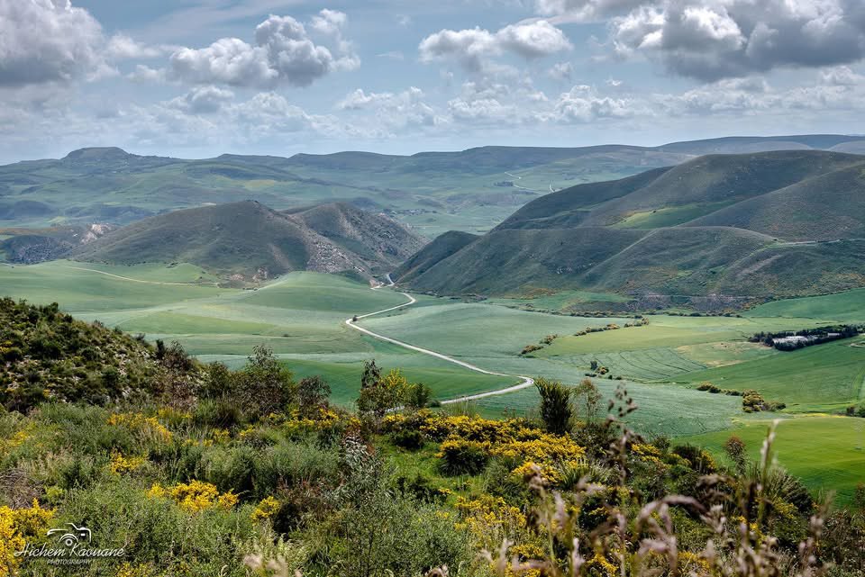 tunisialphanews's tweet photo. 🇹🇳🌳Joumine (Bizerte).
📸Kaouane Hichem. https://t.co/m0owLLZSco
