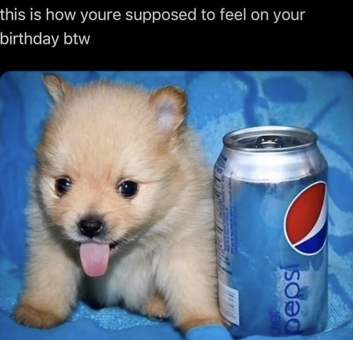 Respectful Memes (@respectfulmemes) on Twitter photo 