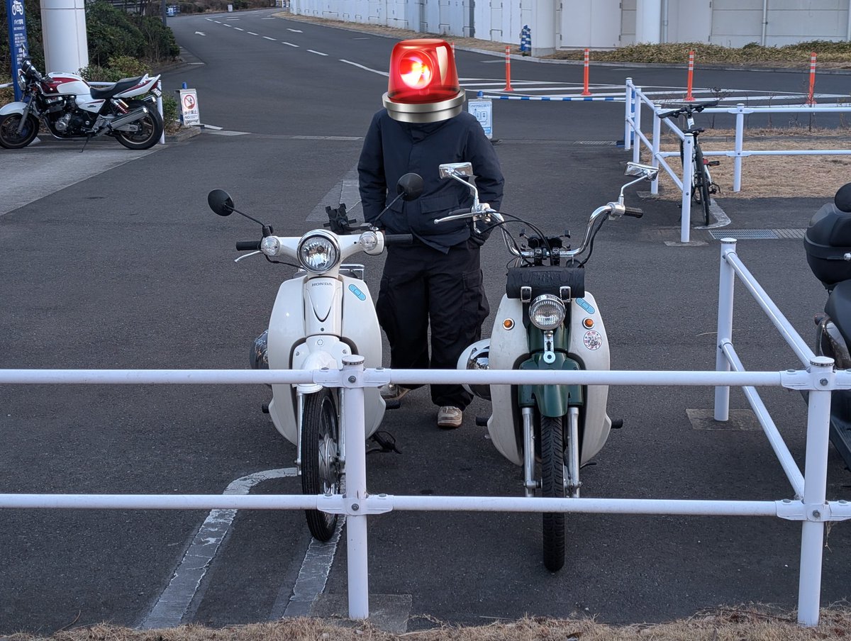 猛者猛者 (@66ms6) / Posts / X