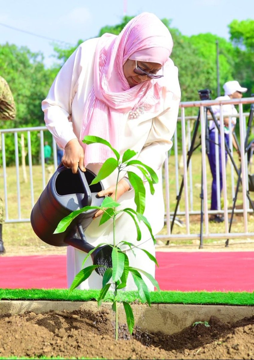 Happy Birthday, Your Excellency.

As you plant trees, you also plant the future of our nation; nurturing economic growth, strengthening unity, cultivating peace, and deepening harmony among Tanzanians.

Your leadership reminds us that when roots are strong, the nation flourishes.