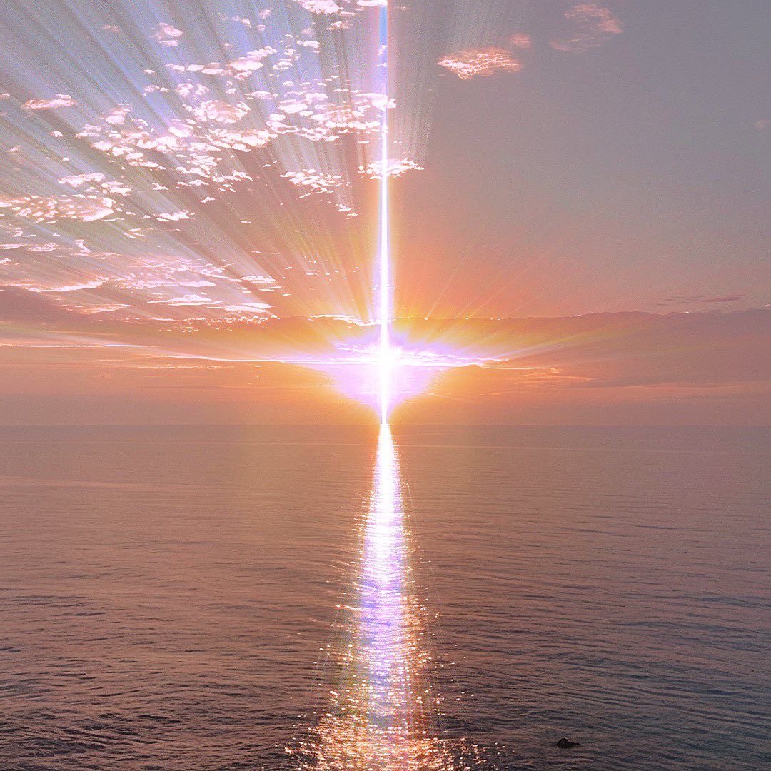 ⚡️🌞 Sol Brah 🌞🐬 tweet media