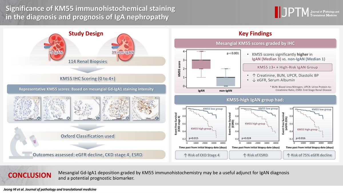 Journal of Pathology and Translational Medicine tweet media