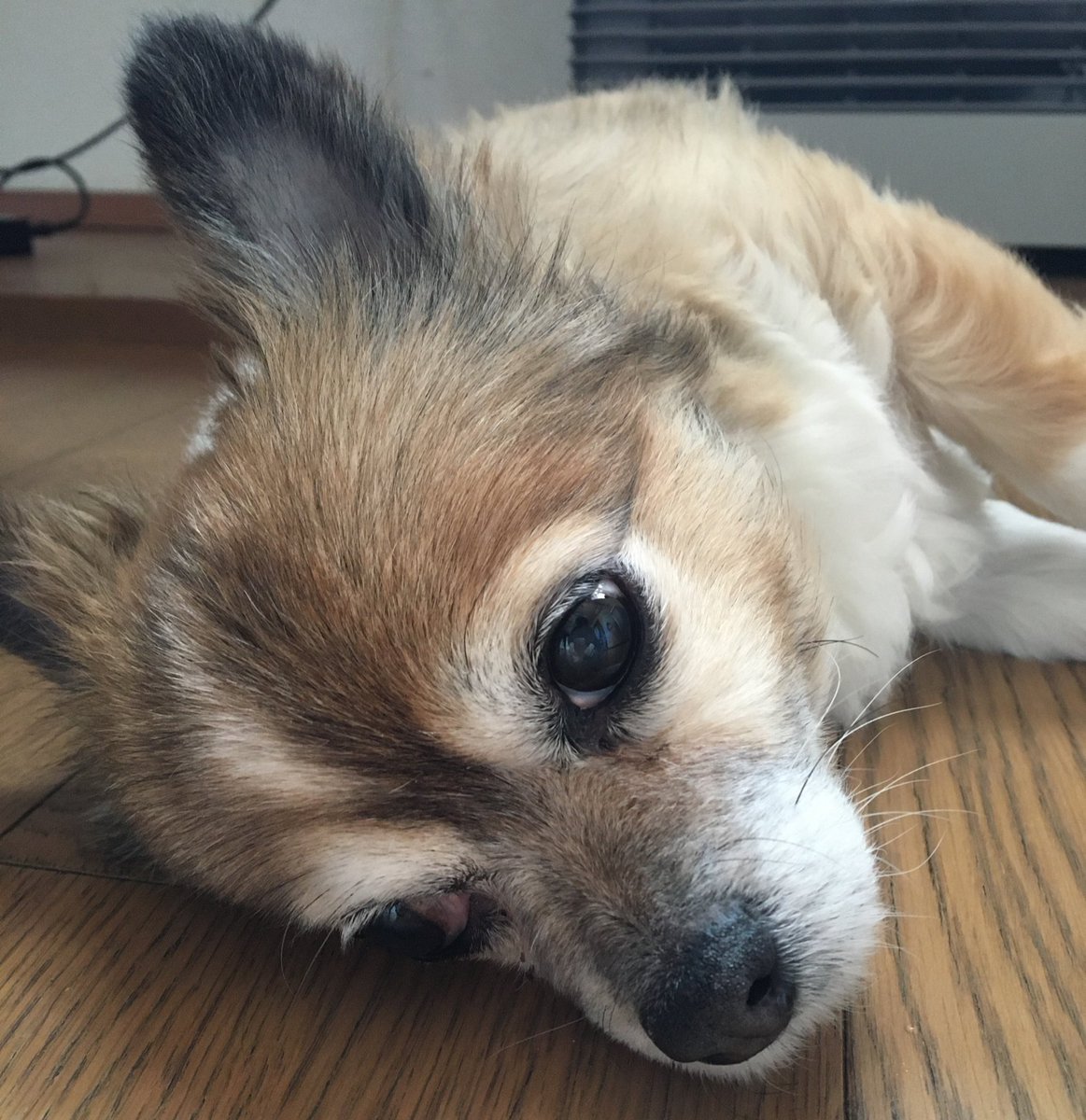 10年ニート tweet media