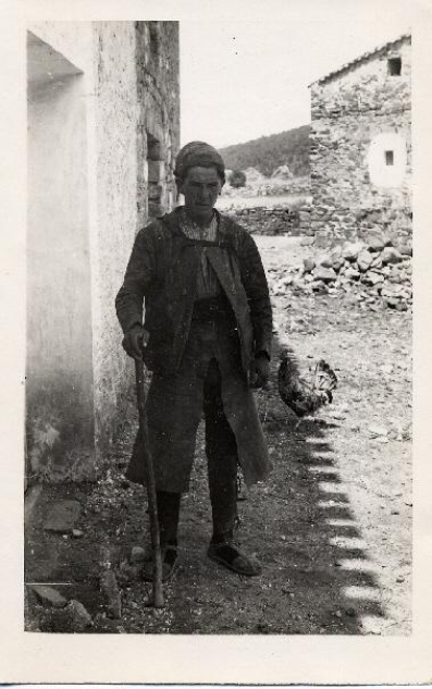 Biblioteca Pública del Estado en Guadalajara tweet media