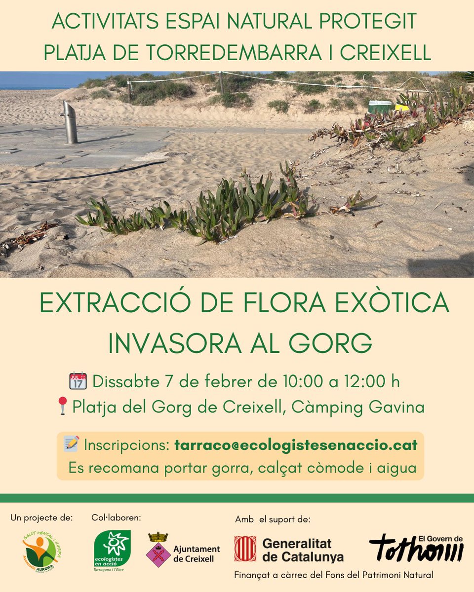 🌱Activitat de #voluntariatambiental d'eliminació d'espècies invasores a l'Espai Natural Protegit Platja de Torredembarra i Creixell!

📋INSCRIPCIONS a tarraco<a href="/ecologistes/">Ecologistes en Acció de Catalunya</a>enaccio.cat

Actuació subvencionada amb #AjutsMAP de <a href="/transicioeco/">Transició Ecològica</a>
<a href="/AjCreixell/">Ajuntament de Creixell</a> GETE-@ecologistes