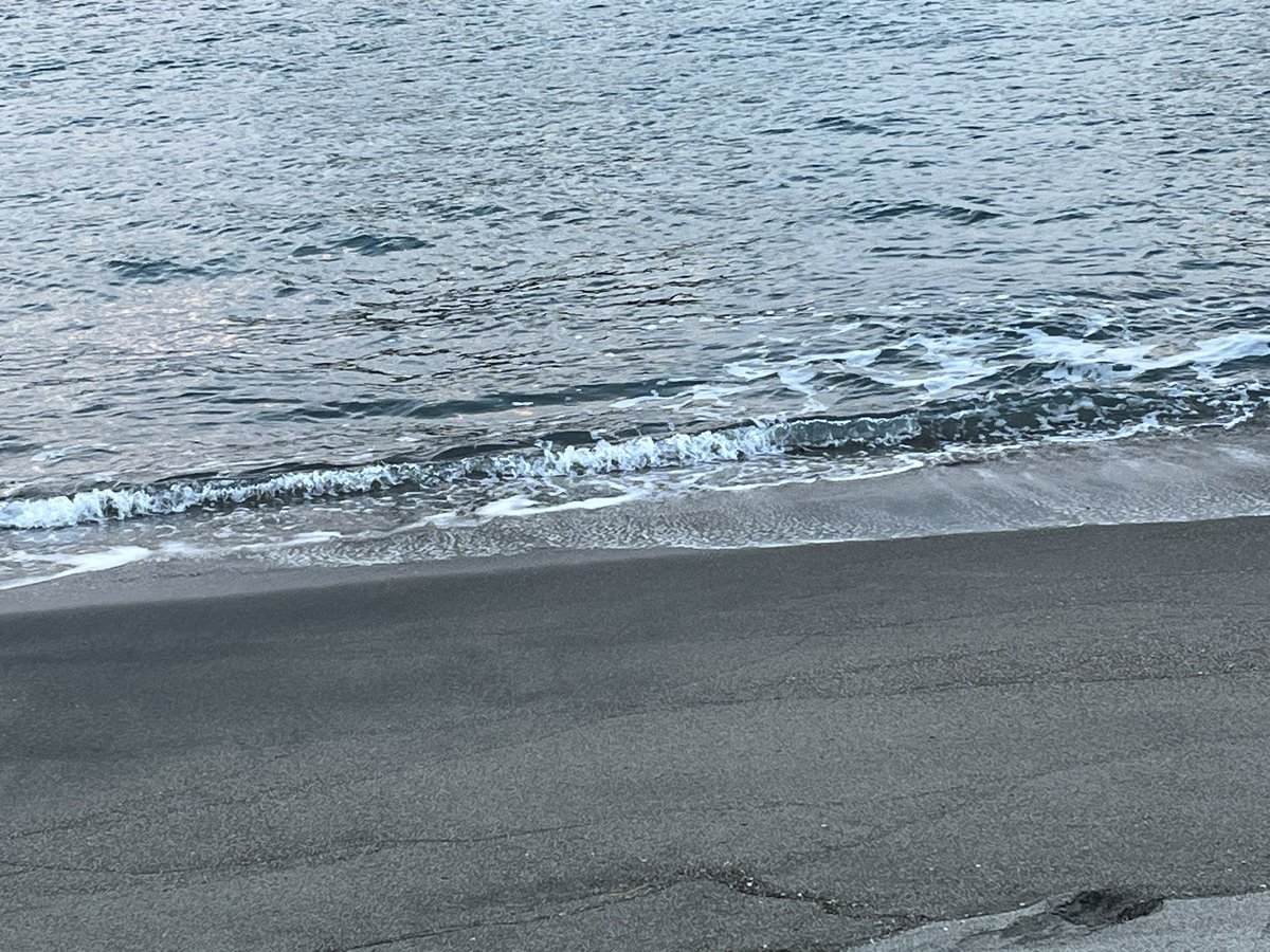 明日からたくさん会えるね