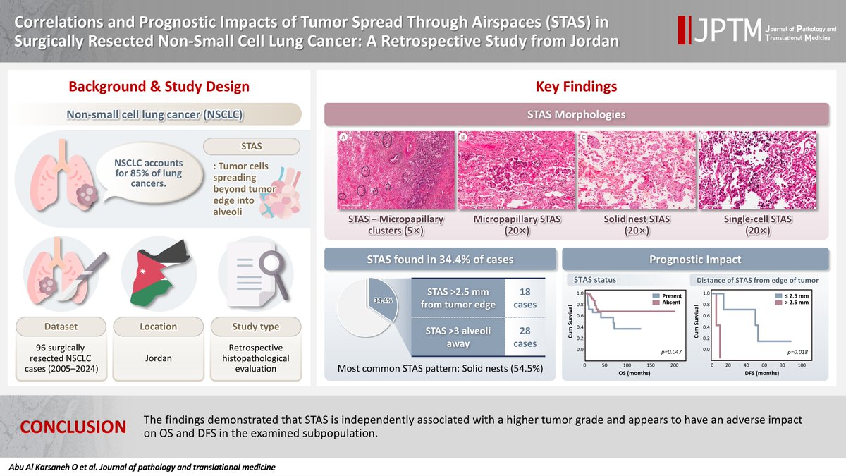 Journal of Pathology and Translational Medicine tweet media