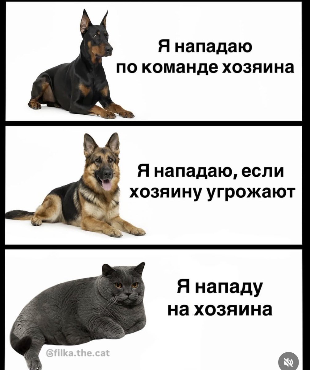 Все так