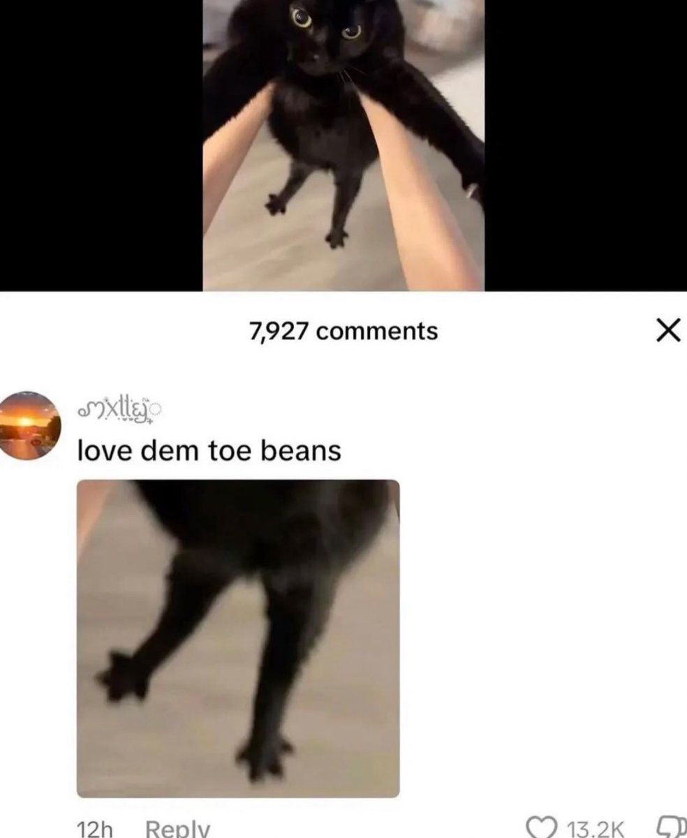 PowerfulAuraX's tweet image. 