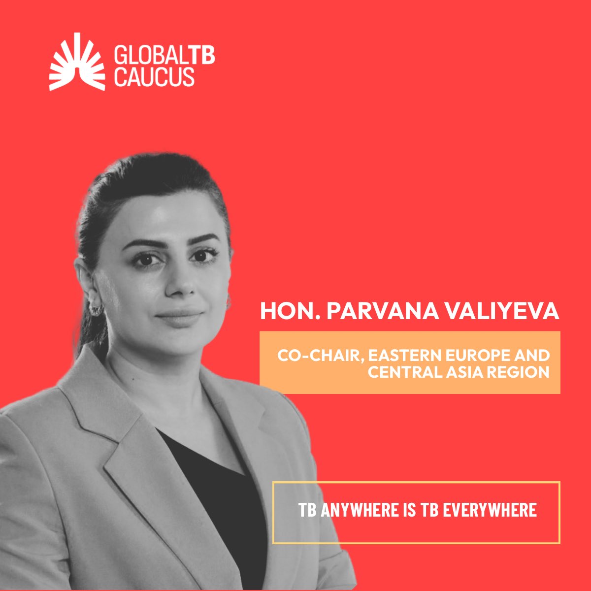 Global TB Caucus tweet media