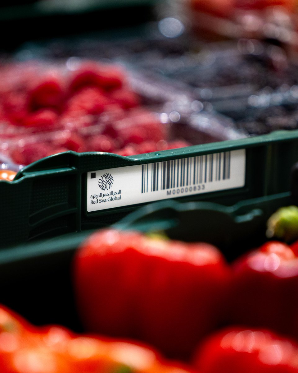 JohnPagano's tweet image. Delivering once is an achievement. Delivering again and again is leadership.

From Saudi's first #LEED Platinum @RSI_airport to record-breaking certifications across education, logistics, and communities, @RedSeaGlobal continues to raise the bar for #regenerativetourism.

More:…