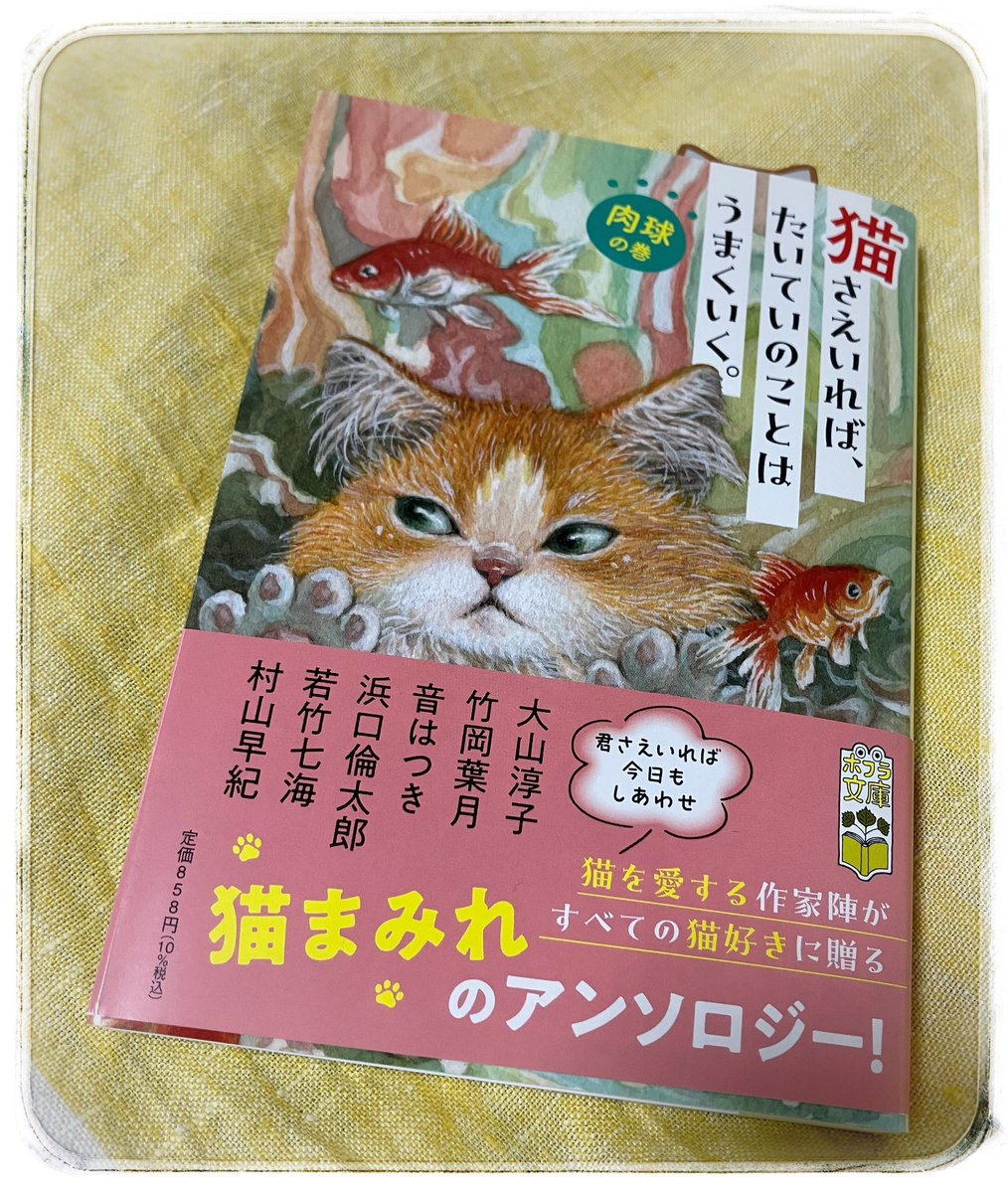 ❤️ねこ様❤️CD ねこぱんち 猫プレゼント号 にゃんCOMI COMIC : タワーレコード Yahoo