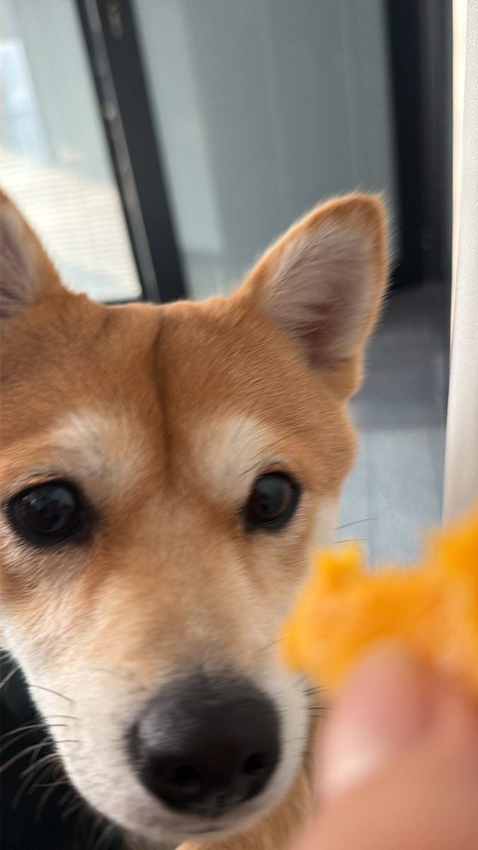 阿琳Lucky tweet media