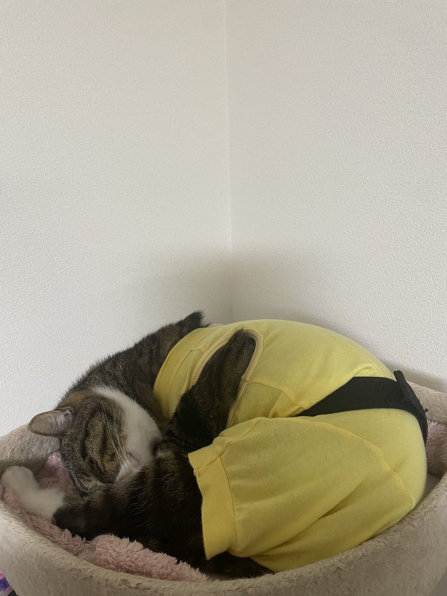 皆さんお疲れ様〜^_^