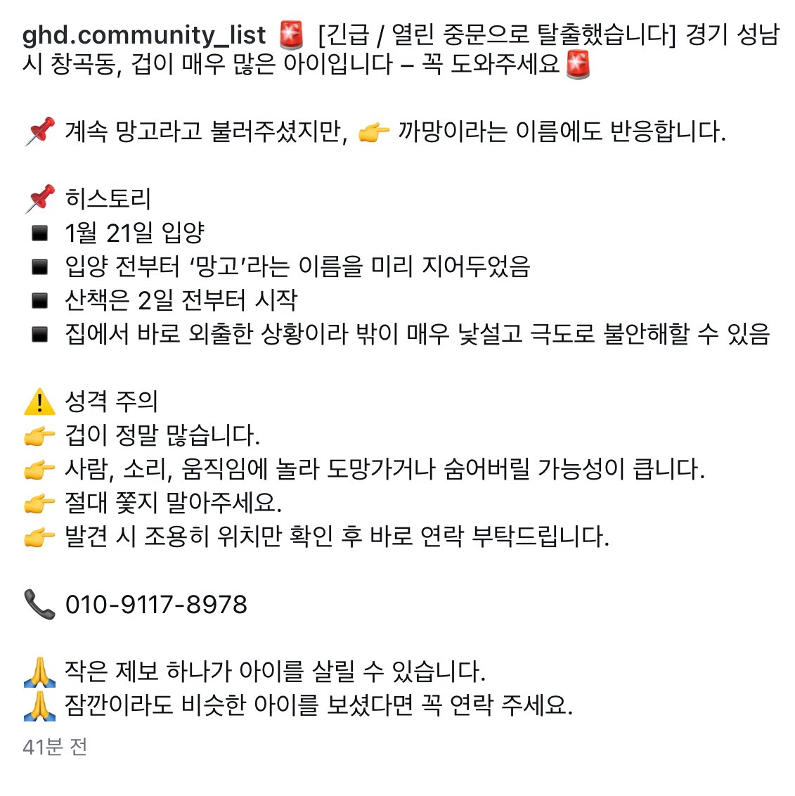 RT 감사합니다!

<강아지를 찾습니다>

계정 성격과 맞지 않지만 양해 부탁드립니다🥹
성남 수정구 창곡동 위례 리브루 카페 인근에서 열린 중문으로 탈출한 까망이를 찾습니다 겁이 정말 많은 아이라 위치만 확인되어도 큰 도움 될 것 같아요
근처 거주민 계신다면 눈여겨봐 주시면 감사하겠습니다🥲