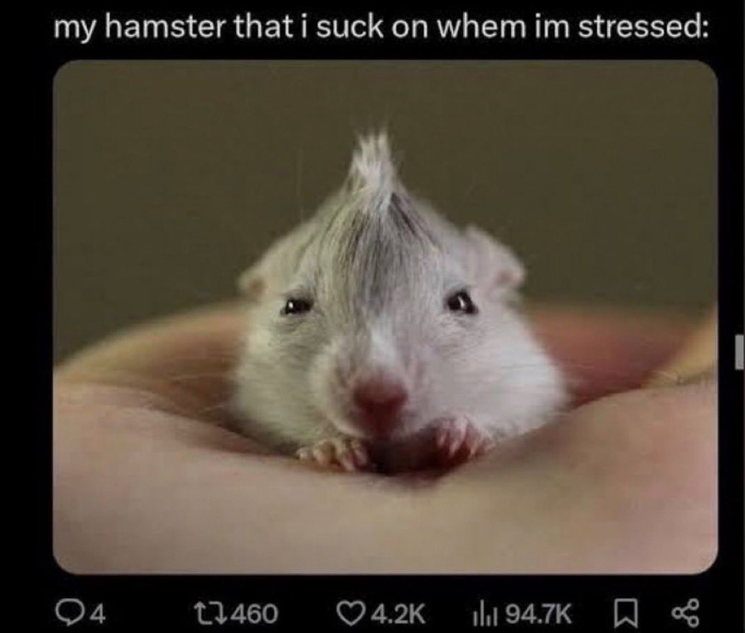 I love you so much you are the only reason for my smile