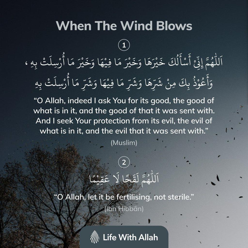 DhikrDuaApp's tweet image. Duʿas to Recite When the Wind Blows

lifewithallah.com/app/