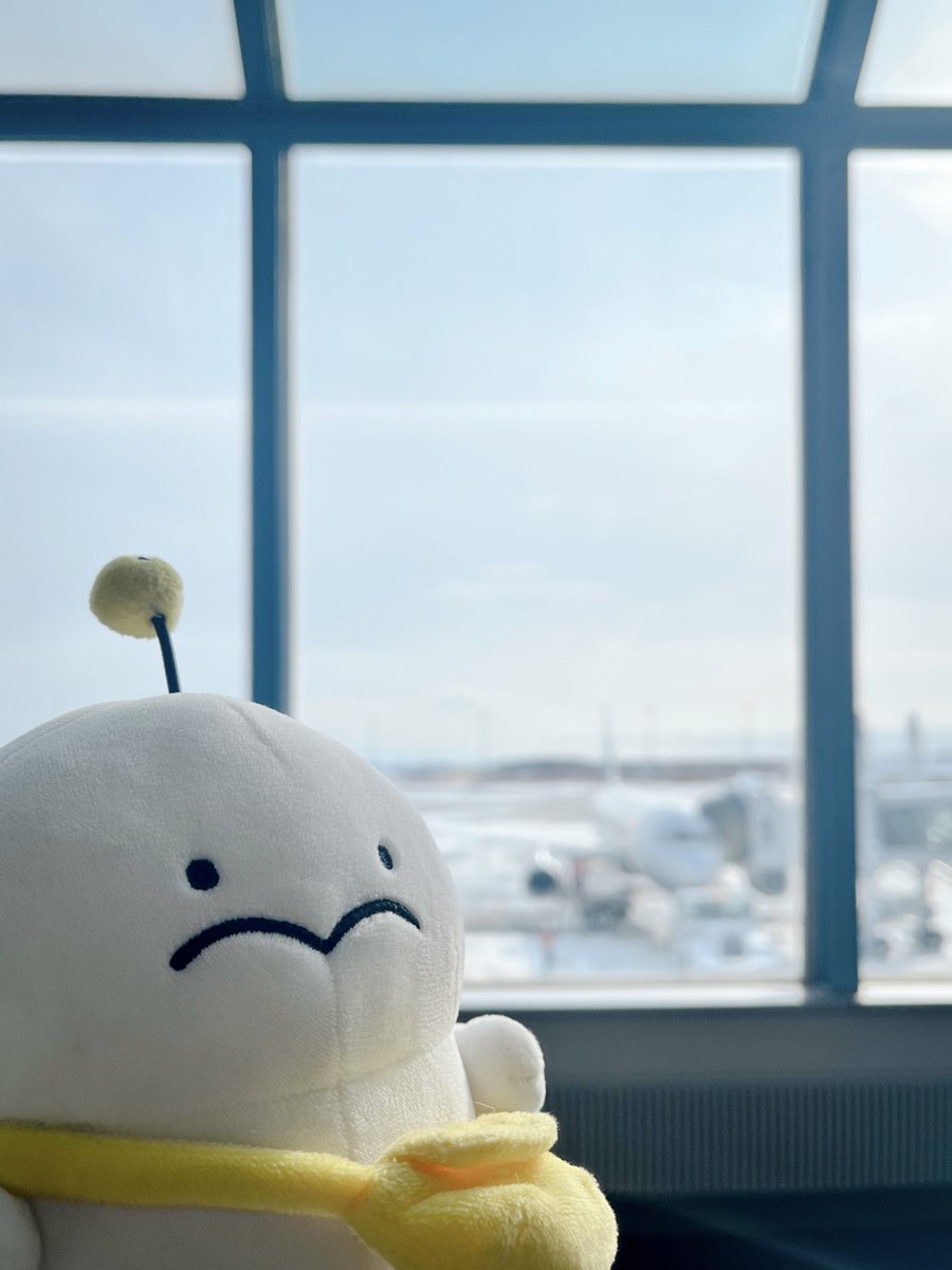 ぷりぷりうちゅうじん (@pocoro_cha) / Posts / X