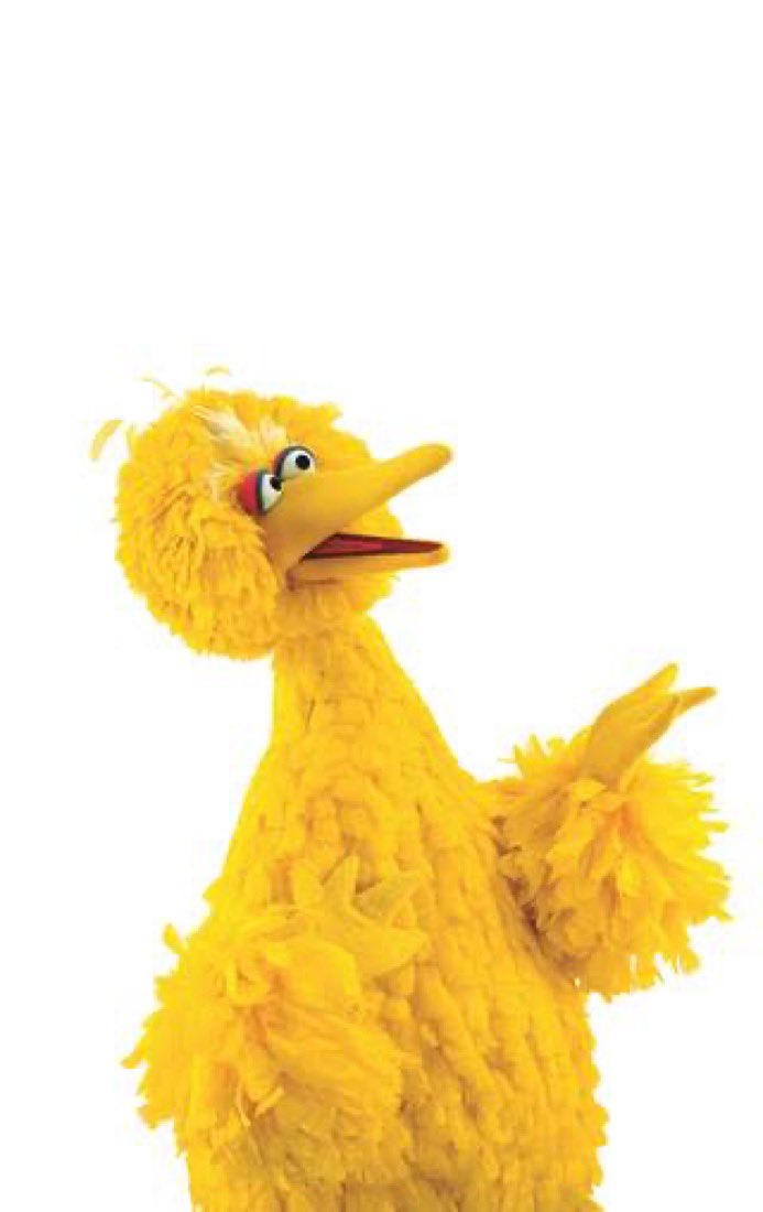 HRD BACOT tweet media