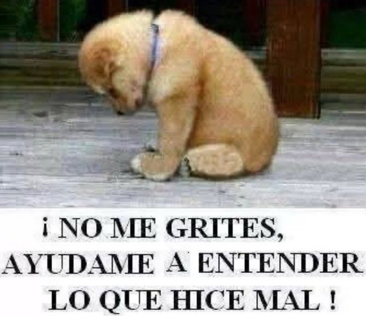 erratismo's tweet image. 