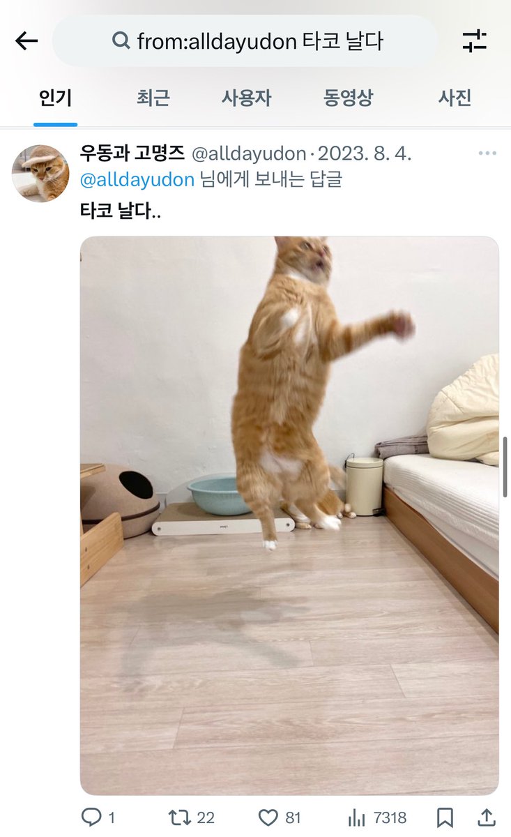 오늘의 꿀팁 추가 : 타코 날다를 검색하면 날으는 뚱까스를 볼 수 있음