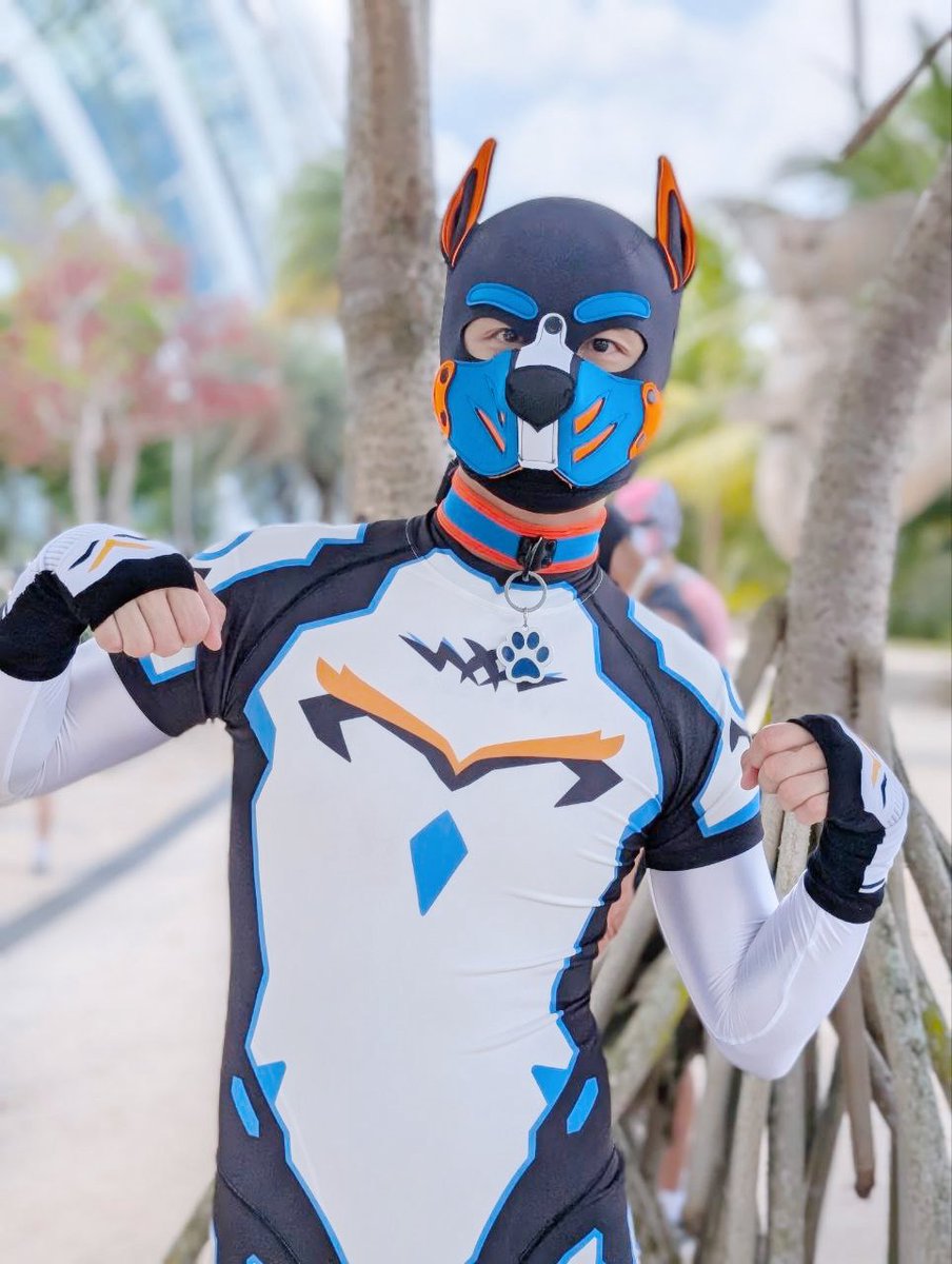 PupFengdi 🔜 🧶🚘 tweet media