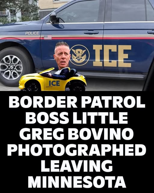 tallguy241's tweet image. 