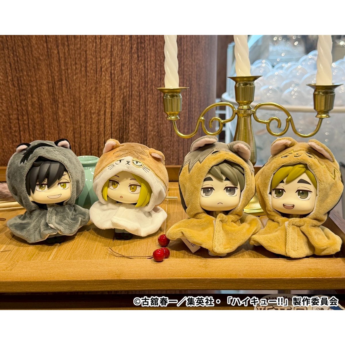 るかっぷ全国ツアー】 🏐販売中🏐 ╭━━━━━━━━━━━╮ るかっ