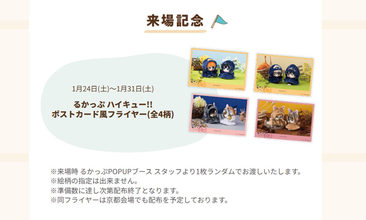るかっぷ全国ツアー】 🏐販売中🏐 ╭━━━━━━━━━━━╮ るかっ