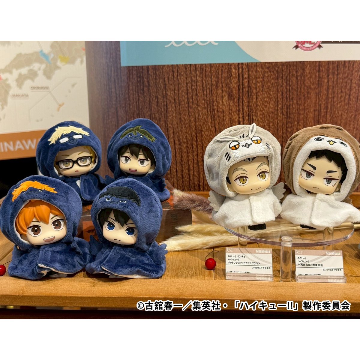 るかっぷ全国ツアー】 🏐販売中🏐 ╭━━━━━━━━━━━╮ るかっ