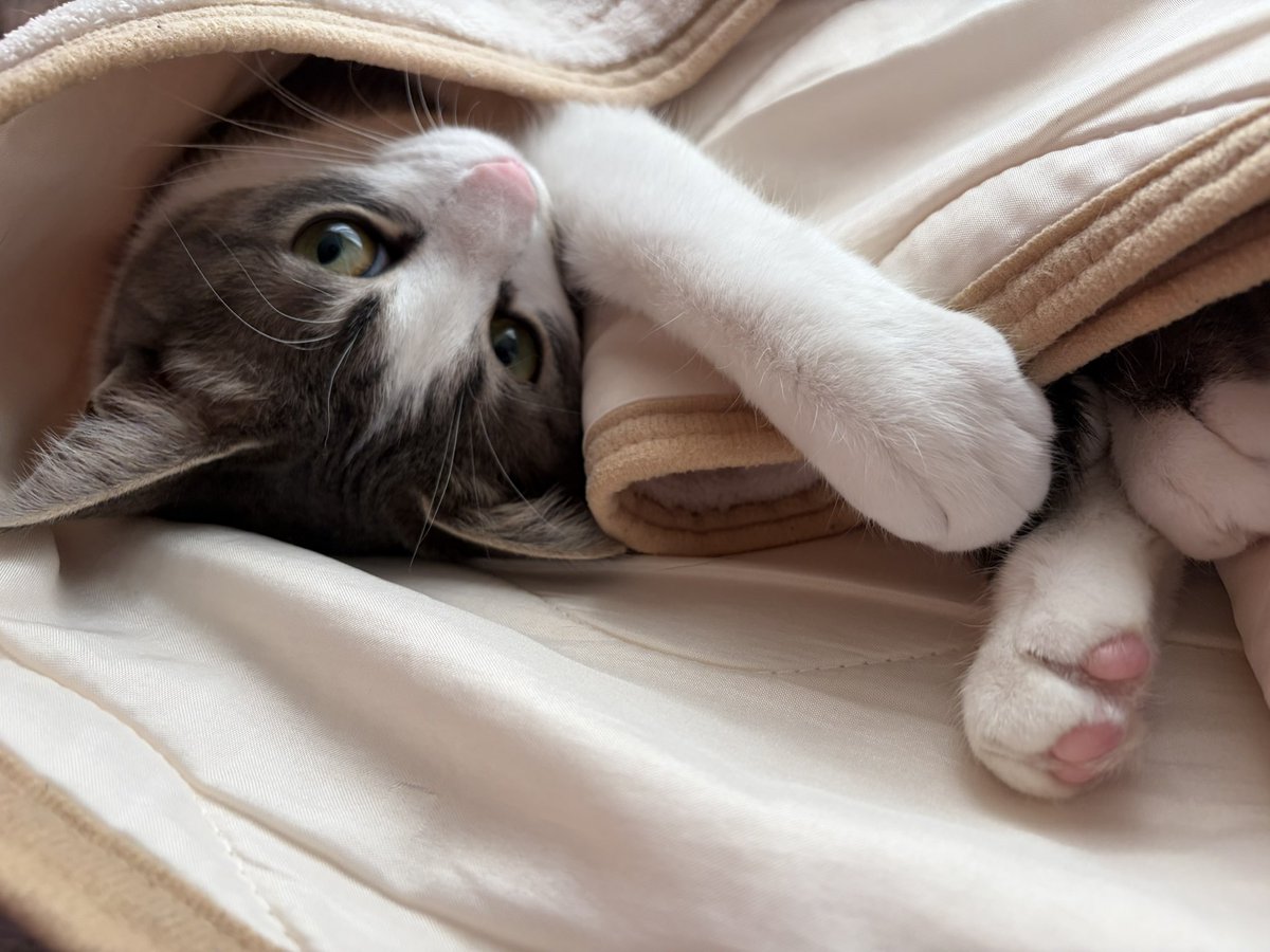 あざとい😻😻