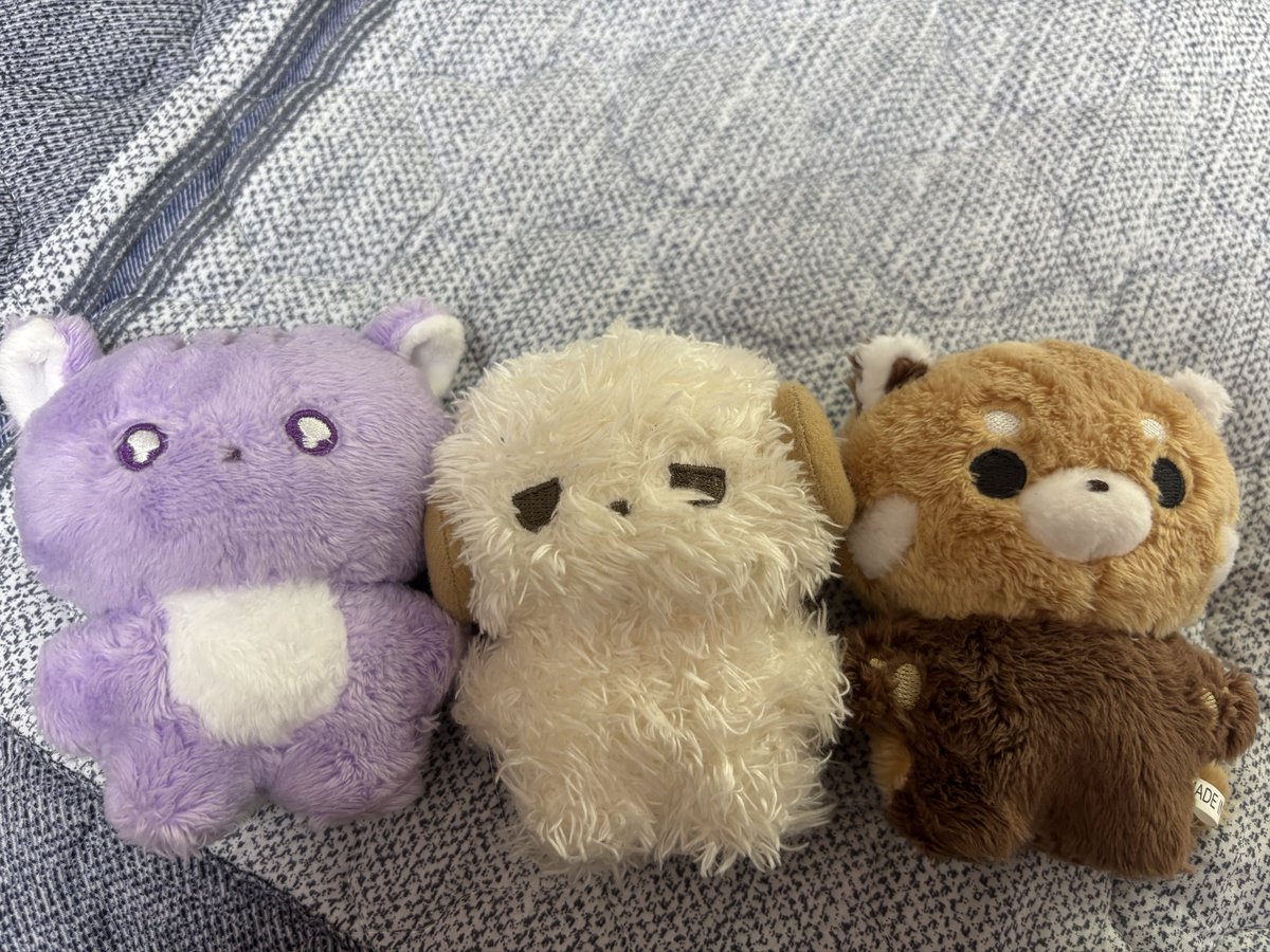 솜인클 원가양도합니다!
저번 통판때 5마리 전부 구매해서 중복인 세명만 따로팝니다
셋다 재양도고 전시만해뒀습니다!
폰주는 복슬복슬한 원단 특성상 먼지가 잘 붙어서 이점 양해부탁드립니다…🥺