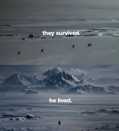 James Wynn tweet media