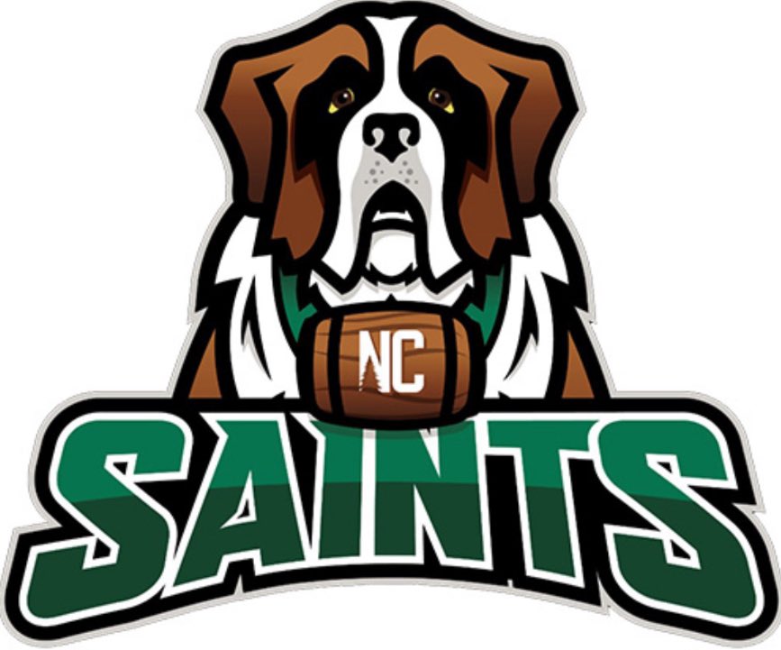 M1chaelhoops's tweet photo. Blessed to Receive a offer from North Country College @CoachVernellRob @KevinOneEye @GASOLyndon https://t.co/SZ4KJSea5f