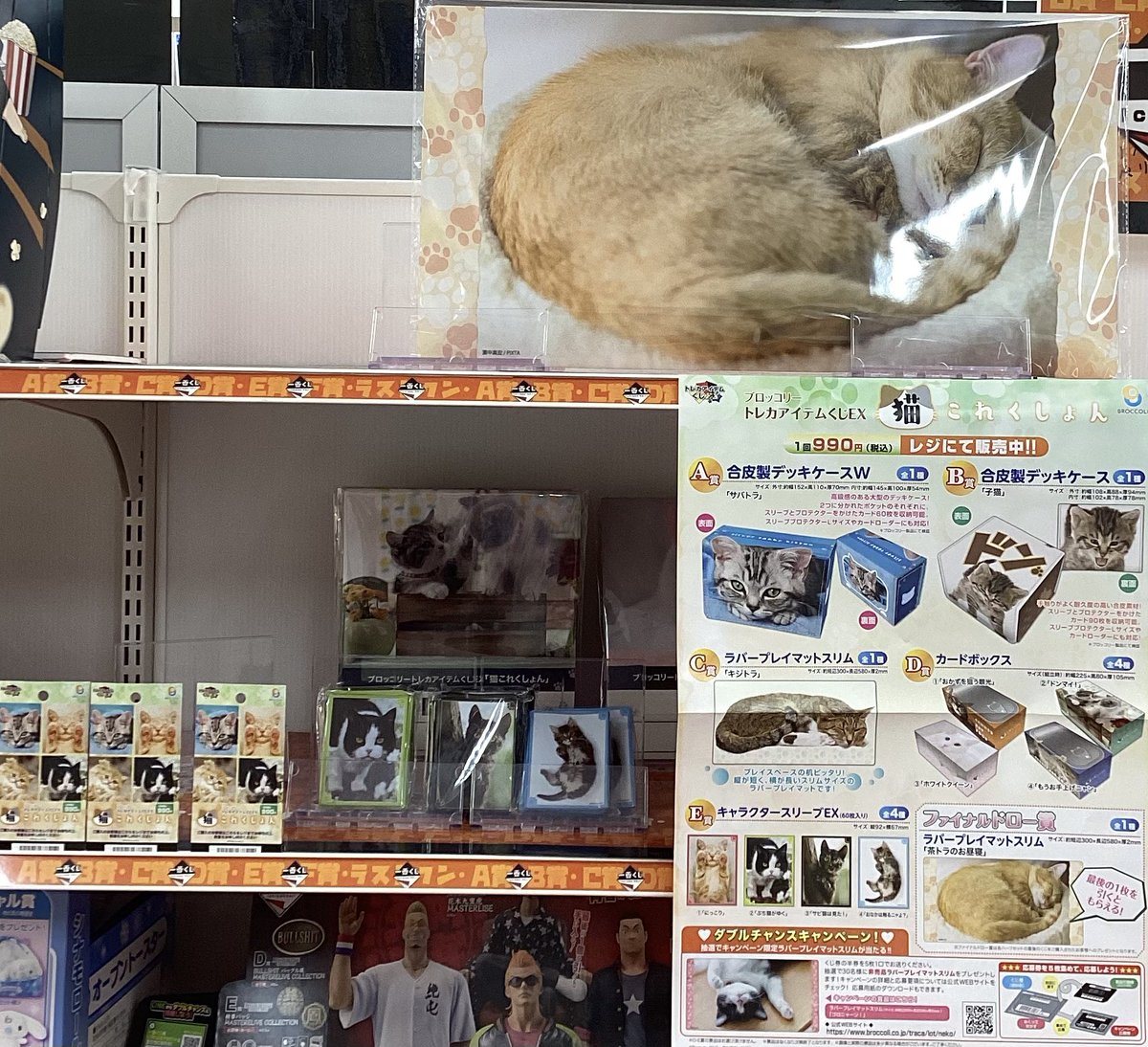 🎯くじ情報🎯 ⭐️#ブロッコリー⭐️ ✨#トレカアイテムくじEX