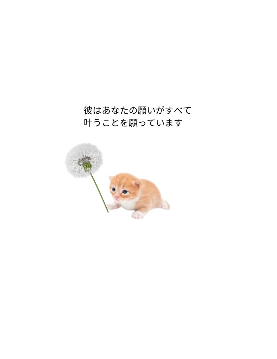 arigatogary's tweet photo. https://t.co/gorSxFW1p3