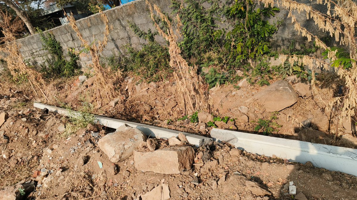 savekapralake tweet media