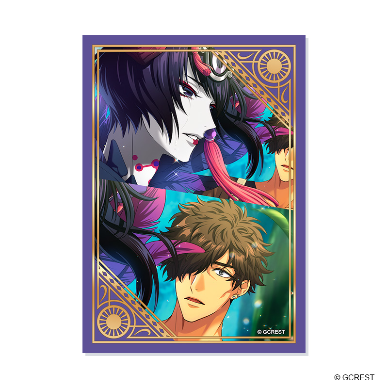 ⭐️Wチャンス賞実施中⭐️ 夢職人と忘れじの黒い妖精 セレクション