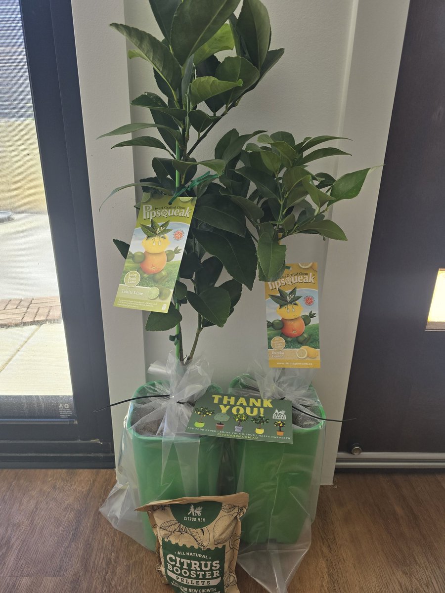 Planting these bad boys on the weekend (when it's no longer 38 degrees outside)