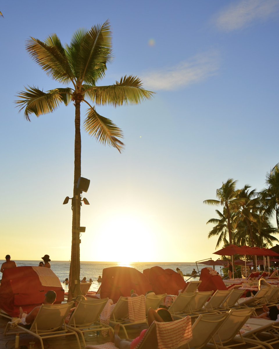 アロハセブン【公式】 (@aloha7inc) / Posts / X