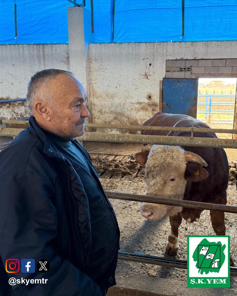 Şereflikoçhisar merkezde müstahsilimiz Celal Mesut beyin gönderisini sizlerle paylaşıyor, hayırlı işler diliyoruz. #şkyem. Bereketli olsun. #süt #hayvancılık #besi #çiftlik #şereflikoçhisar #ankara #yem