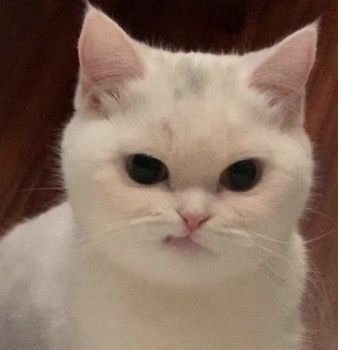 ﹑ชer 🎀﹒⟡ (@wwwg00dgirl) on Twitter photo 