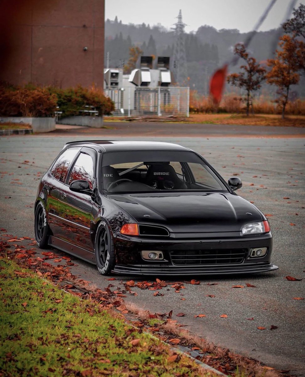 Owner: kapibara6age7